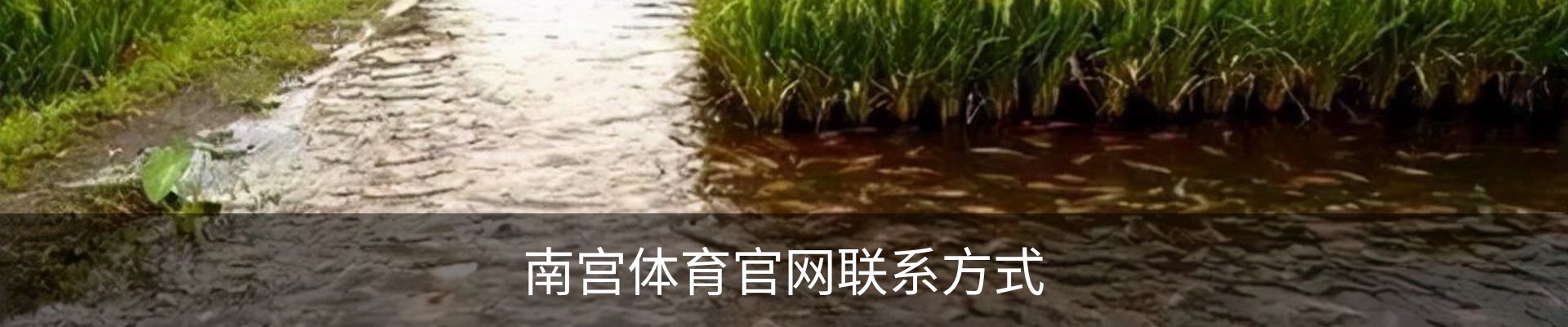 内页banner